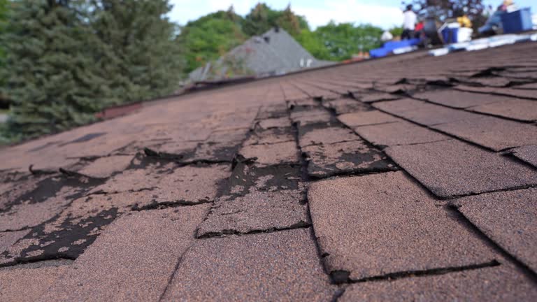 Best Asphalt Shingles Roofing  in Bartlett, TX